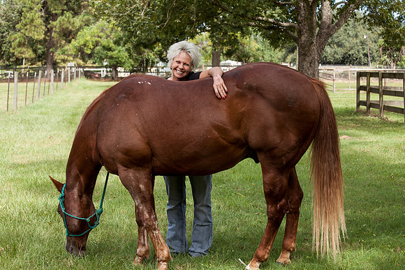 Equine-3760