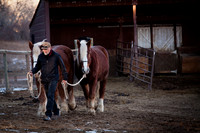 Equine-8402