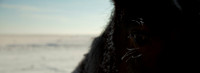 Equine-4904